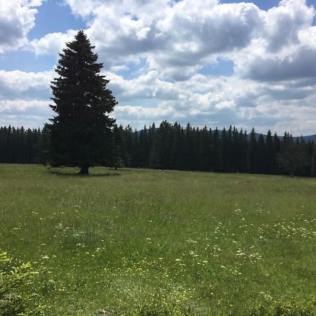 Apartman Kvilda 126 Экстерьер фото